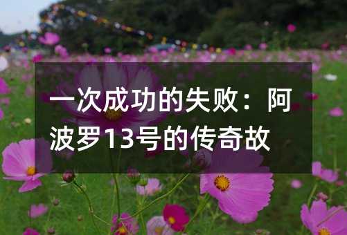 һ�γɹ���ʧ�ܣ�������13�ŵĴ������