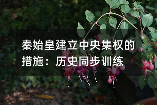 秦始皇建立中央集权的措施:历史同步训练