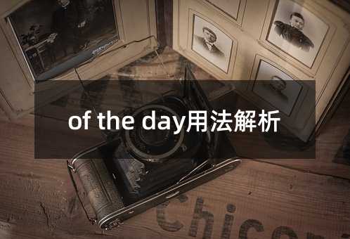 of the day用法解析