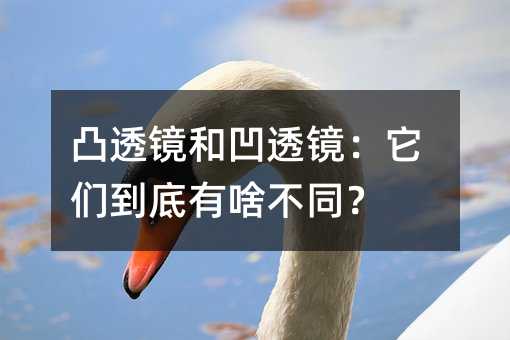 凸透镜和凹透镜:它们到底有啥不同?