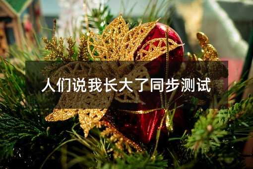 人们说我长大了同步测试