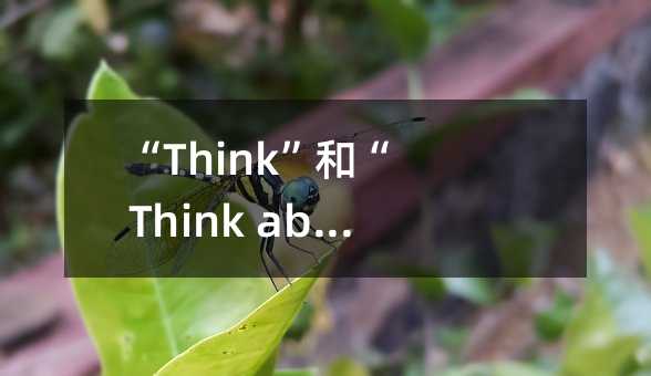 ��Think���͡�Think about���÷��������