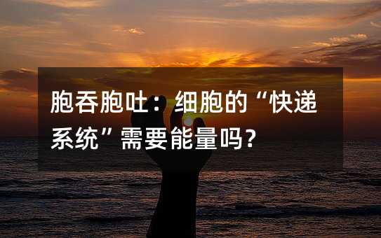 ���̰��£�ϸ���ġ����ϵͳ����Ҫ������