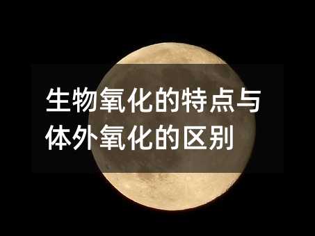 生物氧化的特点与体外氧化的区别