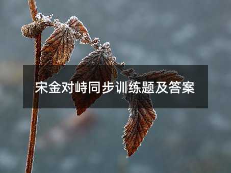 宋金对峙同步训练题及答案