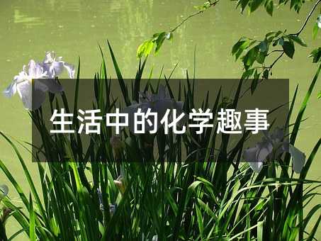 �����еĻ�ѧȤ��