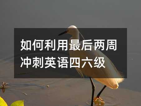 如何利用最后两周冲刺英语四六级