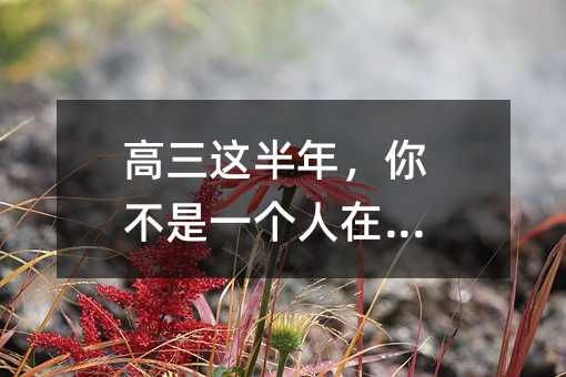 高三这半年,你不是一个人在坚持