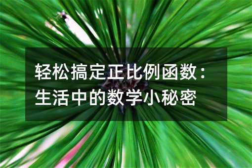 轻松搞定正比例函数:生活中的数学小秘密