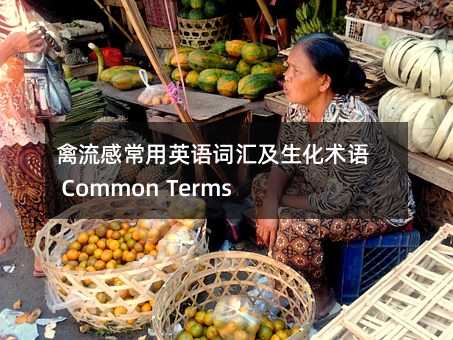 禽流感常用英语词汇及生化术语 Common Terms for Bird Flu