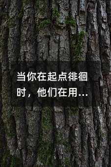 当你在起点徘徊时,他们在用勤奋铺路