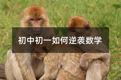 初中初一如何逆袭数学