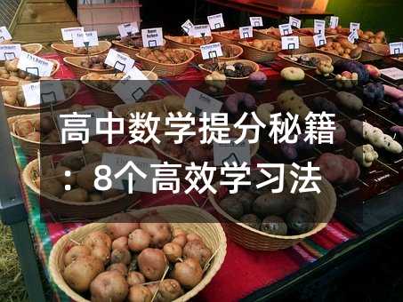 高中数学提分秘籍:8个高效学习法