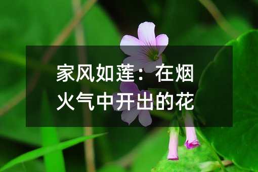 家风如莲:在烟火气中开出的花