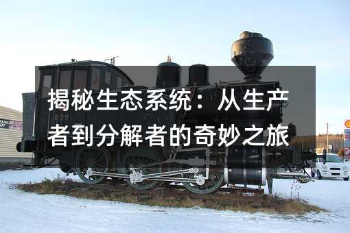 揭秘生态系统:从生产者到分解者的奇妙之旅