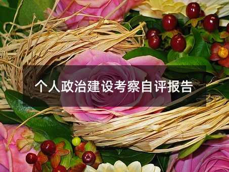个人政治建设考察自评报告