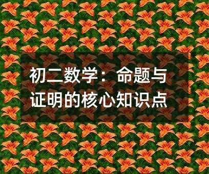 ������ѧ��������֤���ĺ���֪ʶ��