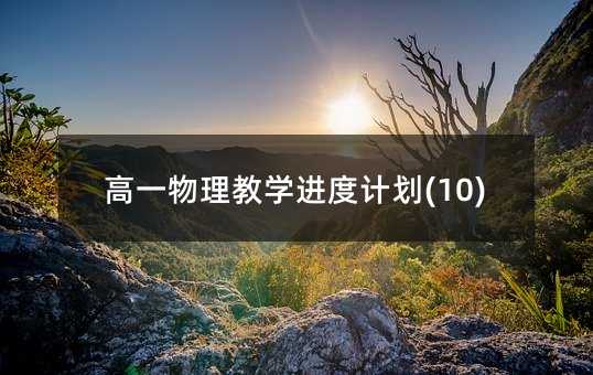 ��һ������ѧ���ȼƻ�(10)