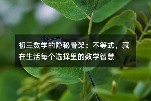 初三数学的隐秘骨架:不等式,藏在生活每个选择里的数学智慧