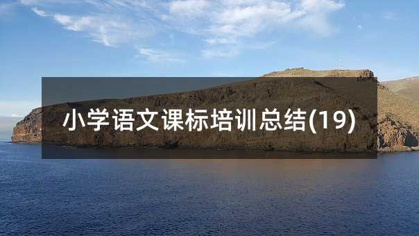 小学语文课标培训总结(19)