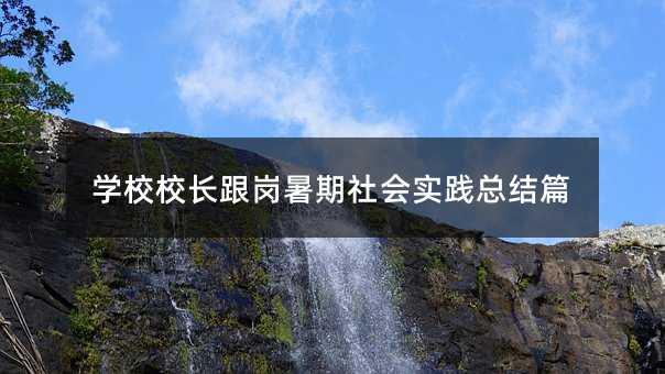学校校长跟岗暑期社会实践总结篇