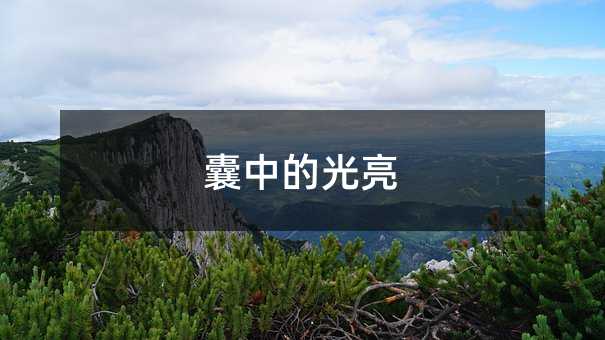 囊中的光亮
