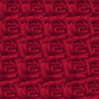 ��ѧ������ѵ��飺���ų���Դ�ڸ�ĸ