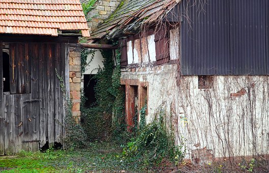 外国人爱用的讽刺短语