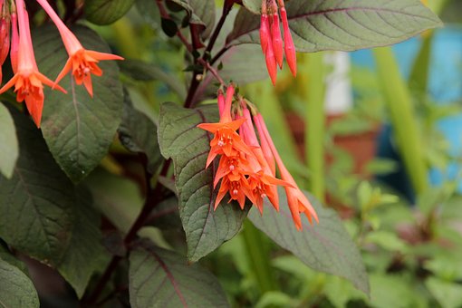 ����Ůͯѧ��ˤ��̱���ҽ�����