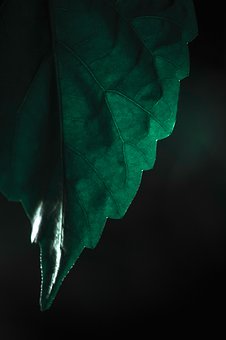 �Ѽ���ѧ͸�����Ӳ����ƿ��߼�����Ĵ���