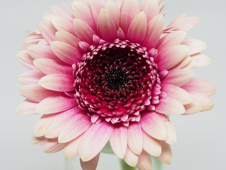 �߶��ϲ�����������֪ʶ������