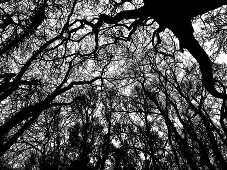 高三女生考前被骗3.8万 对方称可传答案