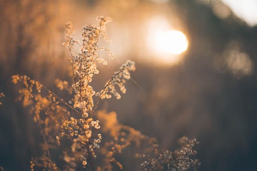 雅思提分手段:雅思阅读中如何实践四项技能