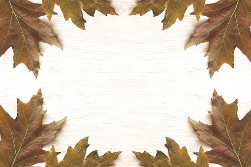 ���Ľ�ѧ������������