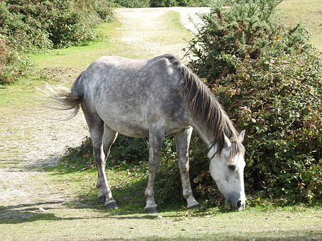 ���Ľ�ѧ��˼���߳���������������