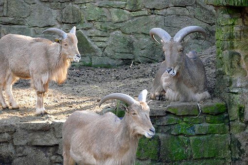 8所民办高校今年不具备招生资格