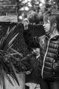 ����ڶ̶�һ�����ڹ����и��Ķ�