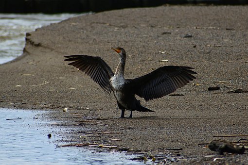 ���Ŀε����ࣺ�õĽ��������ú����ڡ��հס�������