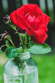 �õ���ѧѧϰ�������ܹ����㿼�Ը߷�!