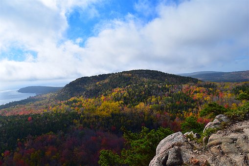 中式“虎爸虎妈”教女有功 17岁女生入围科学奖