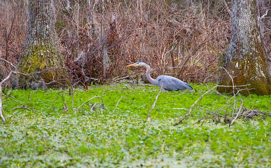 如何让你的大学四年,过得不后悔?