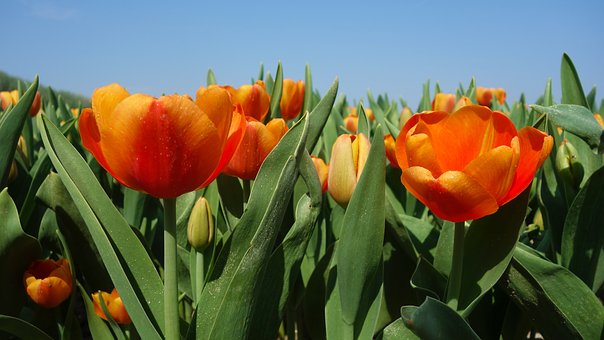 ����������������¶ȡ����ع��п������ĵײ��߼�