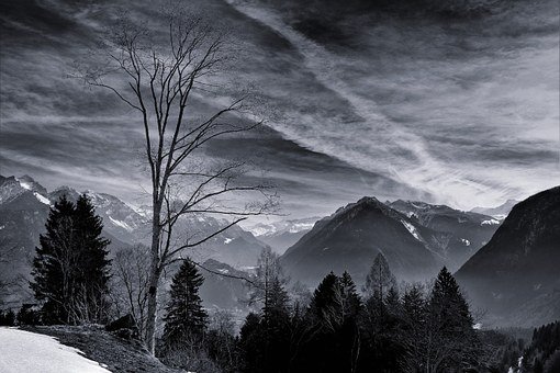 ��μ����������������������׼����