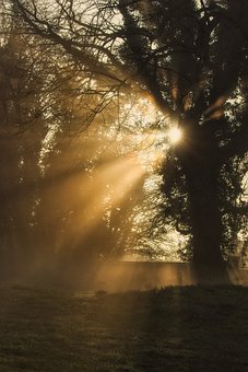 ���������ɲ���ȥѧУ��ô��