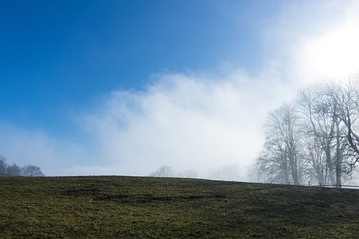 �������Ӳ��ģ������������̣��������ס����ѧϰ����