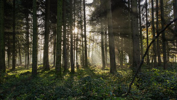 “全面二孩“将实施 大学女生提前备孕保“二孩“