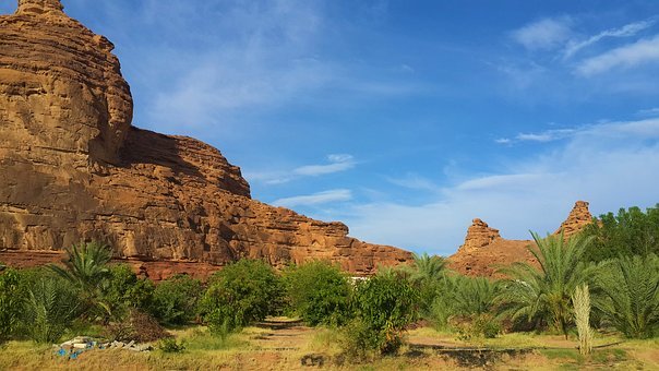 �߶�Ů����˫��Ƥ��ս�տ� �ļ����ݿ��ĳ���ѧ��