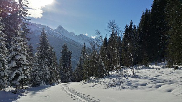 ���л�ѧʵ�鹤���ƻ�(11)